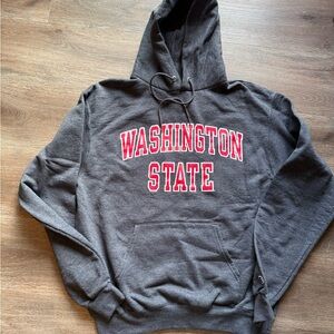 Champion Gray Hoodie with Red Print